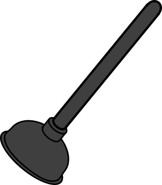 plunger 308901 640