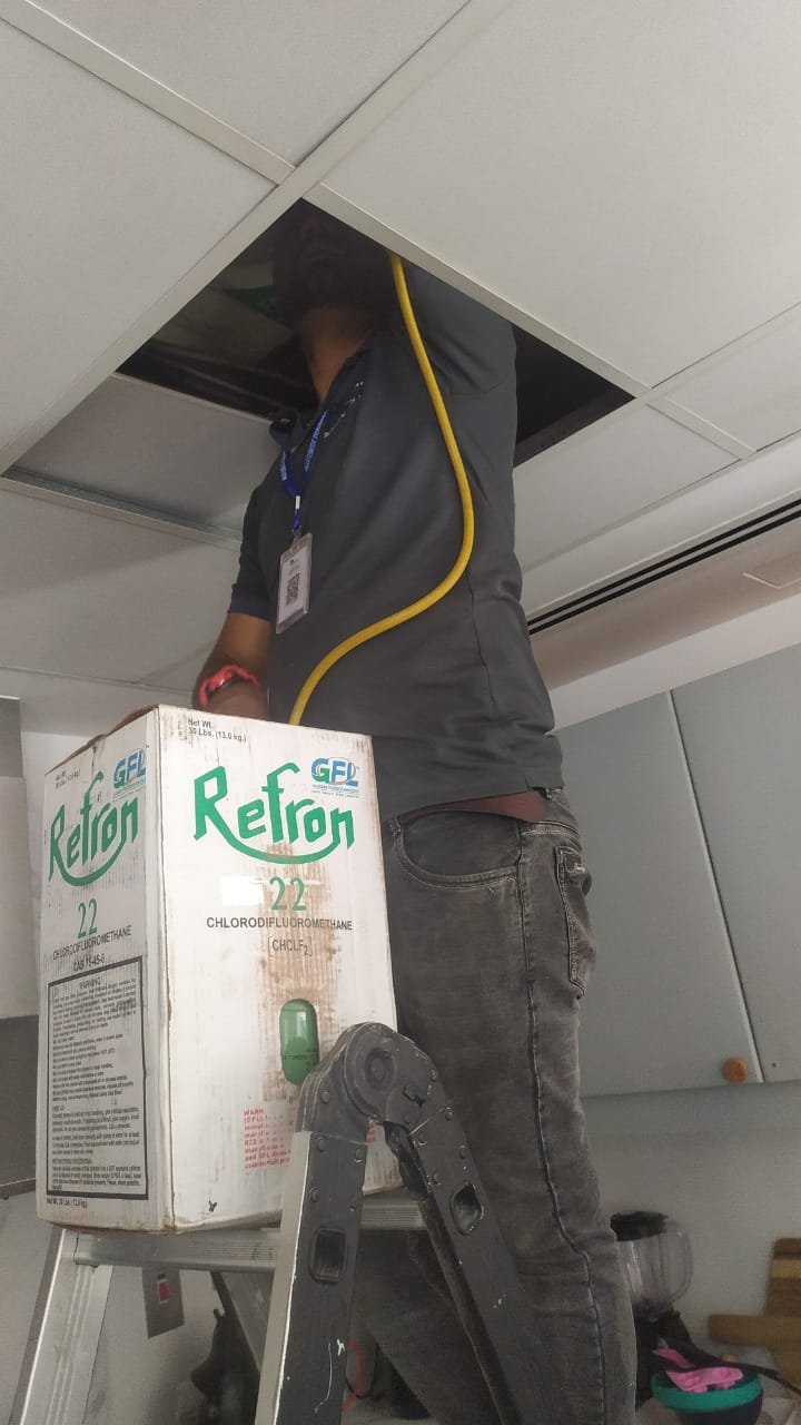 WhatsApp Image 2024 04 30 at 11.48.25 d0a5ef31 WhatsApp Image 2024 04 30 at 11.48.25 d0a5ef31